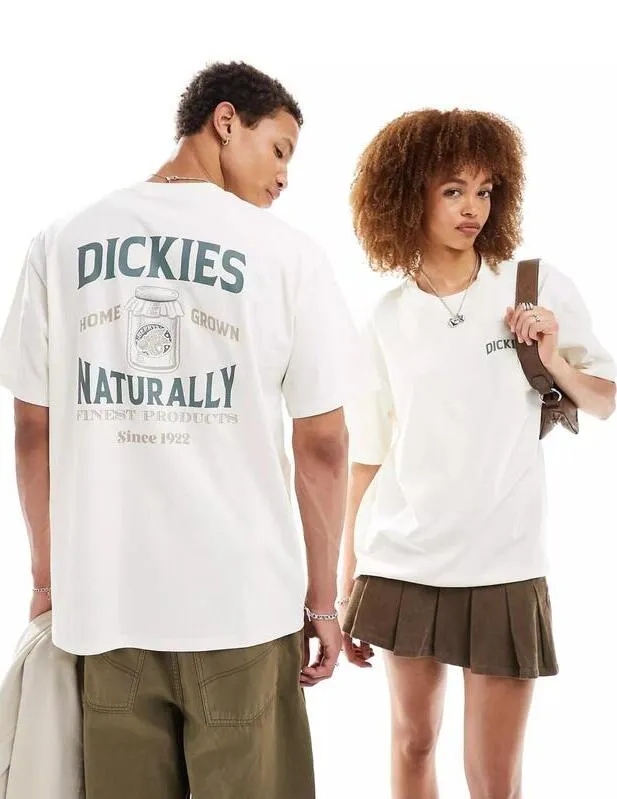 Camiseta Dickies Elliston Tee Cloud