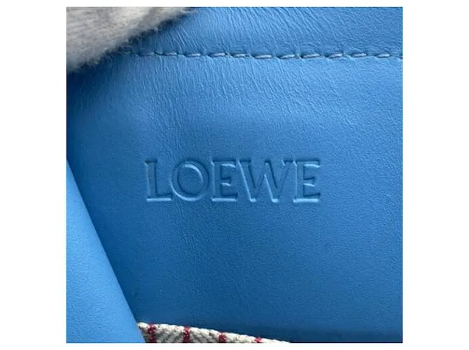 Cojín Loewe Multicolor 