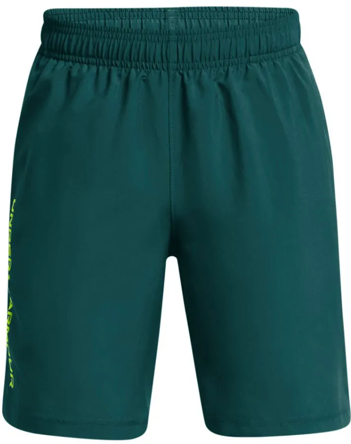 Under Armour Woven Wdmk Shorts